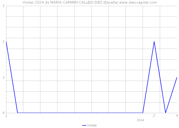 Visitas 2024 de MARIA CARMEN CALLEJO DIEZ (España) 