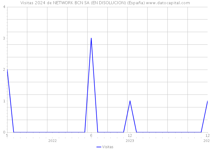 Visitas 2024 de NETWORK BCN SA (EN DISOLUCION) (España) 