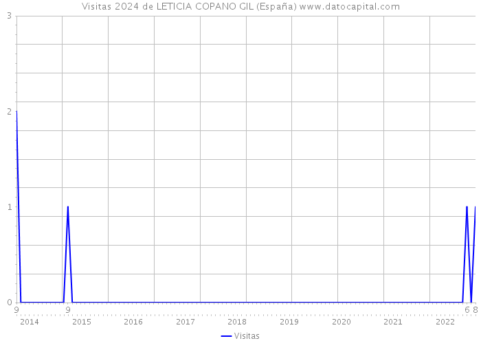 Visitas 2024 de LETICIA COPANO GIL (España) 