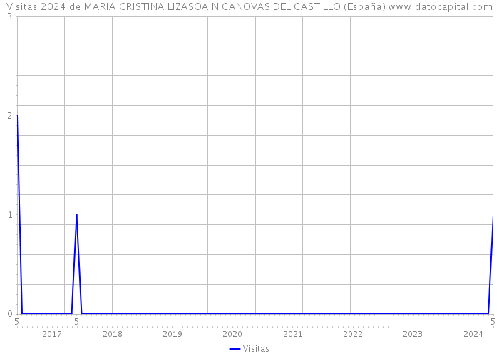 Visitas 2024 de MARIA CRISTINA LIZASOAIN CANOVAS DEL CASTILLO (España) 