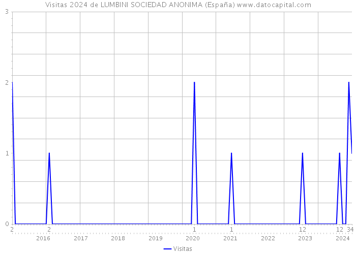 Visitas 2024 de LUMBINI SOCIEDAD ANONIMA (España) 