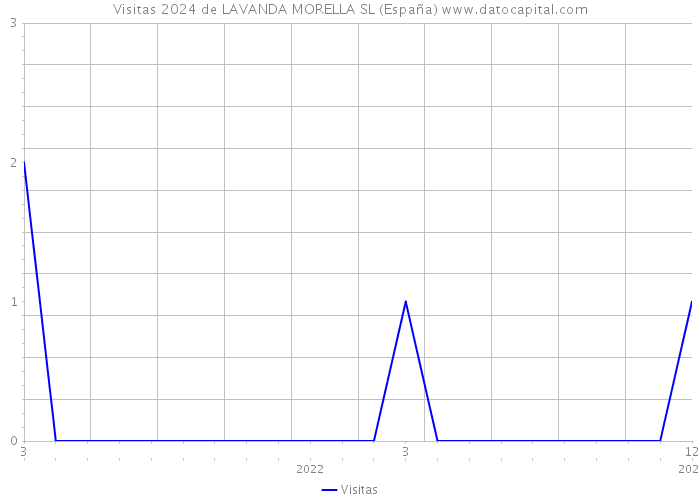 Visitas 2024 de LAVANDA MORELLA SL (España) 
