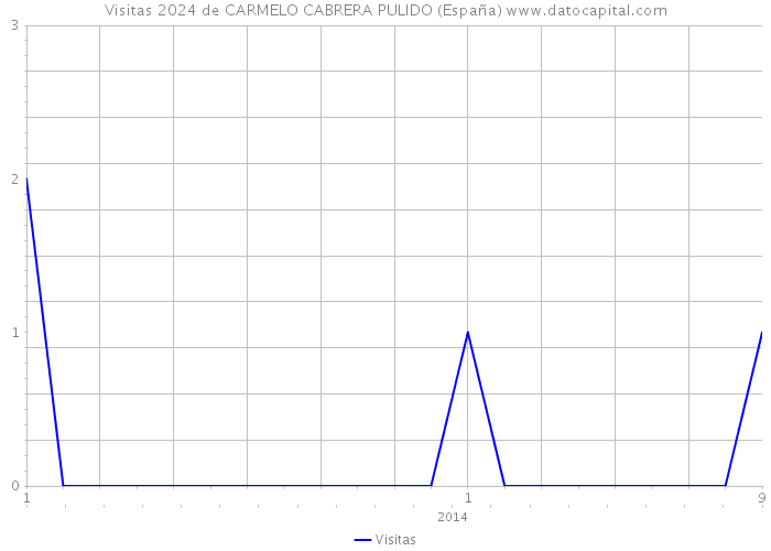 Visitas 2024 de CARMELO CABRERA PULIDO (España) 