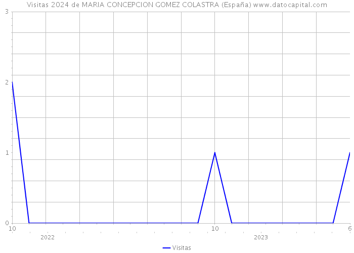 Visitas 2024 de MARIA CONCEPCION GOMEZ COLASTRA (España) 