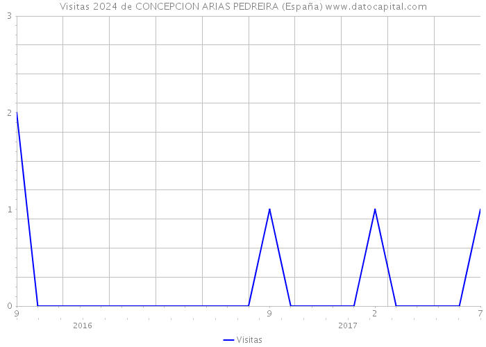 Visitas 2024 de CONCEPCION ARIAS PEDREIRA (España) 