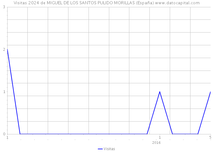 Visitas 2024 de MIGUEL DE LOS SANTOS PULIDO MORILLAS (España) 