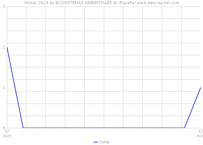 Visitas 2024 de ECOSISTEMAS AMBIENTALES SL (España) 