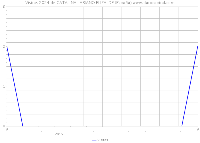 Visitas 2024 de CATALINA LABIANO ELIZALDE (España) 