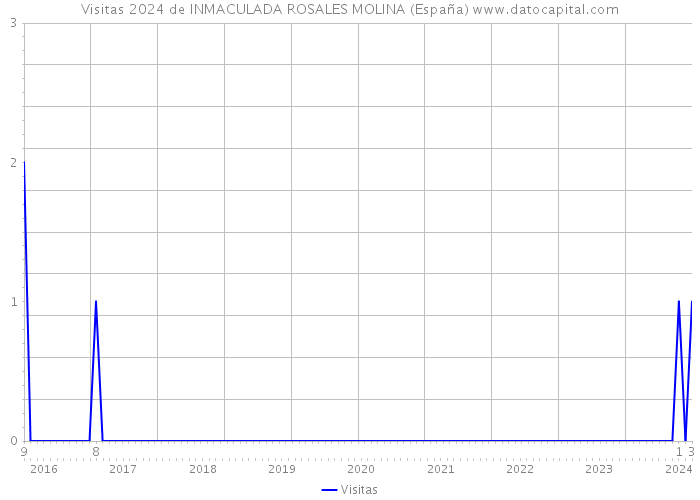 Visitas 2024 de INMACULADA ROSALES MOLINA (España) 