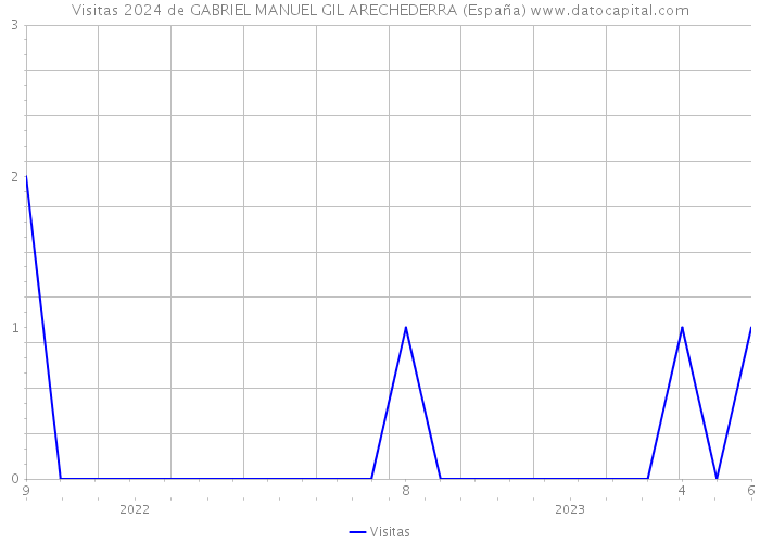 Visitas 2024 de GABRIEL MANUEL GIL ARECHEDERRA (España) 