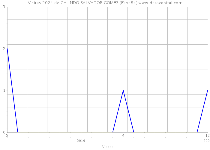 Visitas 2024 de GALINDO SALVADOR GOMEZ (España) 