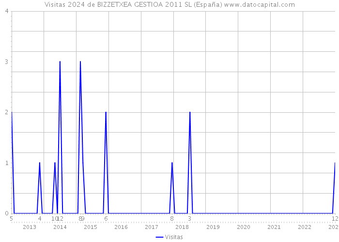 Visitas 2024 de BIZZETXEA GESTIOA 2011 SL (España) 