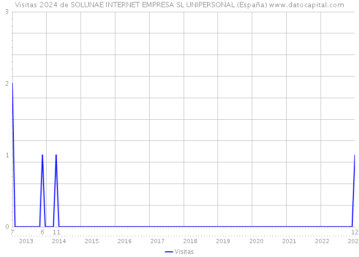 Visitas 2024 de SOLUNAE INTERNET EMPRESA SL UNIPERSONAL (España) 
