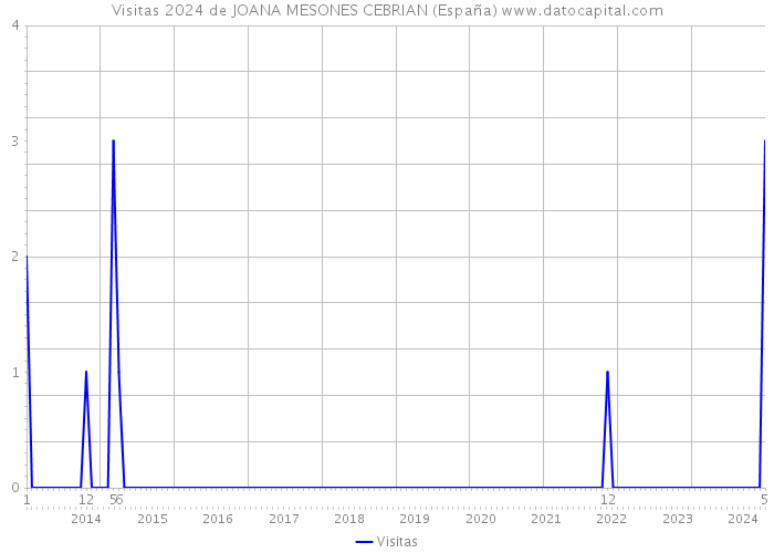Visitas 2024 de JOANA MESONES CEBRIAN (España) 