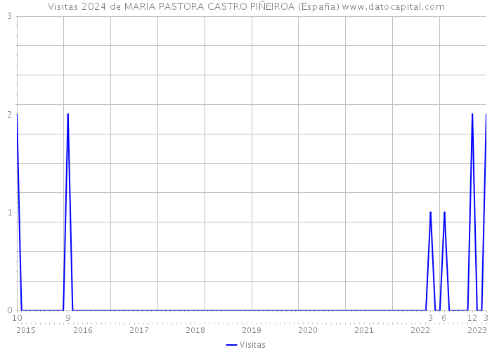 Visitas 2024 de MARIA PASTORA CASTRO PIÑEIROA (España) 