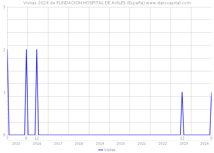Visitas 2024 de FUNDACION HOSPITAL DE AVILES (España) 