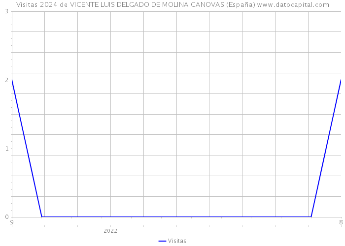 Visitas 2024 de VICENTE LUIS DELGADO DE MOLINA CANOVAS (España) 