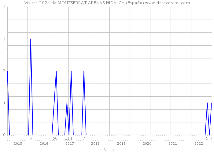Visitas 2024 de MONTSERRAT ARENAS HIDALGA (España) 