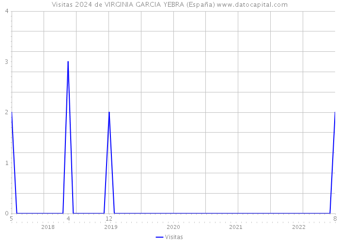 Visitas 2024 de VIRGINIA GARCIA YEBRA (España) 
