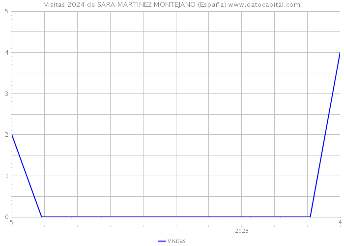 Visitas 2024 de SARA MARTINEZ MONTEJANO (España) 