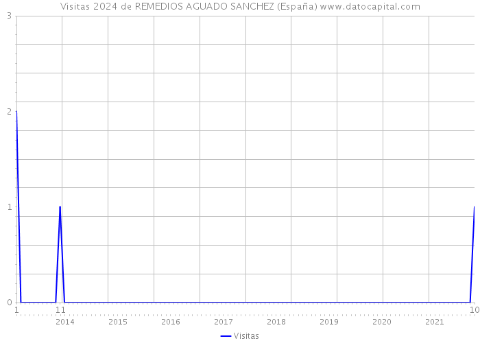 Visitas 2024 de REMEDIOS AGUADO SANCHEZ (España) 
