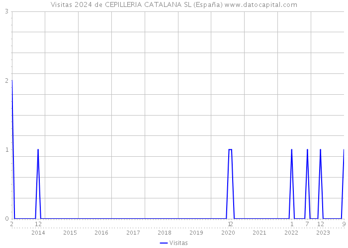 Visitas 2024 de CEPILLERIA CATALANA SL (España) 