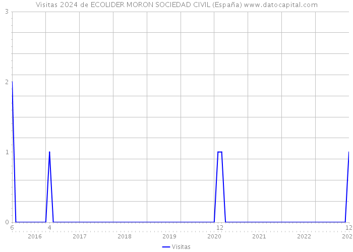 Visitas 2024 de ECOLIDER MORON SOCIEDAD CIVIL (España) 