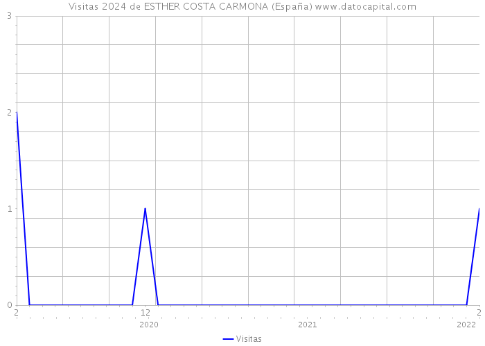 Visitas 2024 de ESTHER COSTA CARMONA (España) 
