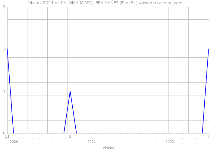 Visitas 2024 de PALOMA MOSQUERA YAÑEZ (España) 