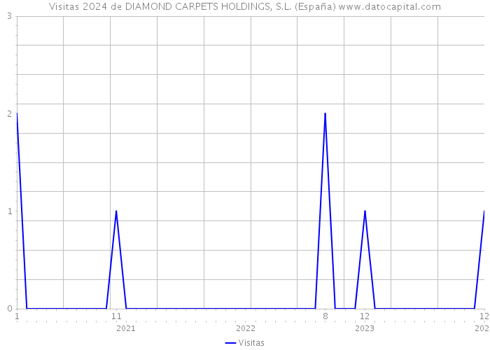Visitas 2024 de DIAMOND CARPETS HOLDINGS, S.L. (España) 