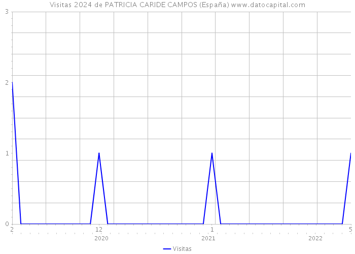 Visitas 2024 de PATRICIA CARIDE CAMPOS (España) 
