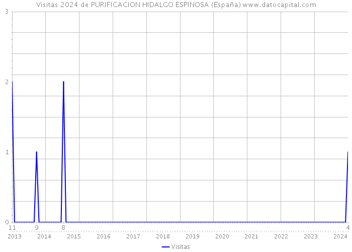 Visitas 2024 de PURIFICACION HIDALGO ESPINOSA (España) 