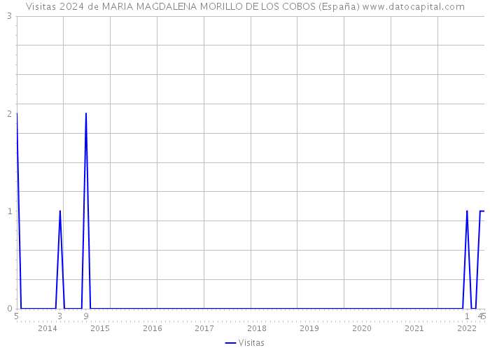 Visitas 2024 de MARIA MAGDALENA MORILLO DE LOS COBOS (España) 