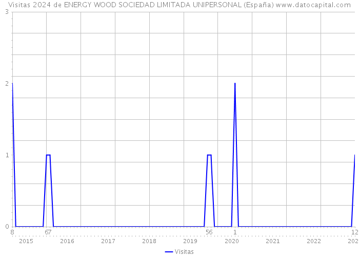 Visitas 2024 de ENERGY WOOD SOCIEDAD LIMITADA UNIPERSONAL (España) 