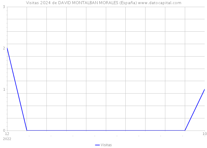 Visitas 2024 de DAVID MONTALBAN MORALES (España) 