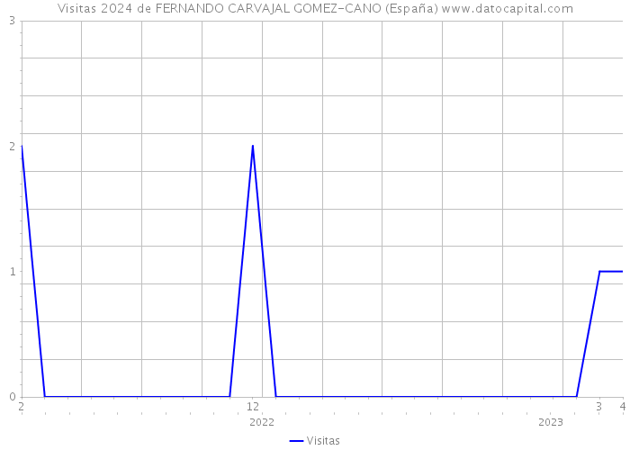 Visitas 2024 de FERNANDO CARVAJAL GOMEZ-CANO (España) 