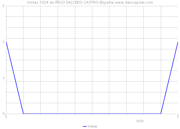 Visitas 2024 de IÑIGO SALCEDO CASTRO (España) 