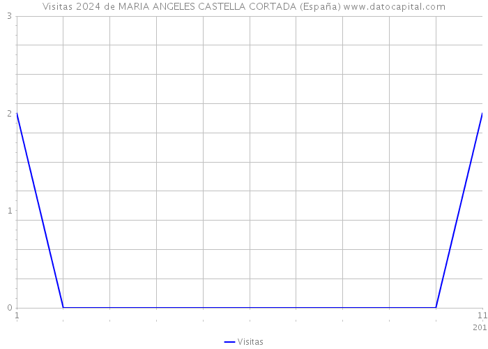 Visitas 2024 de MARIA ANGELES CASTELLA CORTADA (España) 
