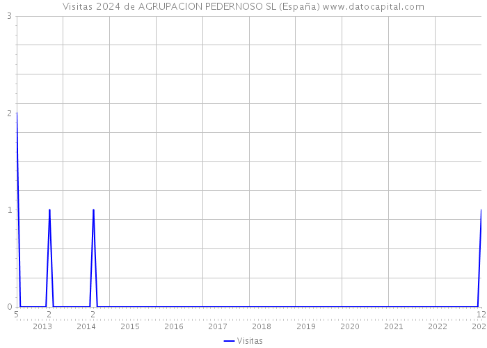 Visitas 2024 de AGRUPACION PEDERNOSO SL (España) 