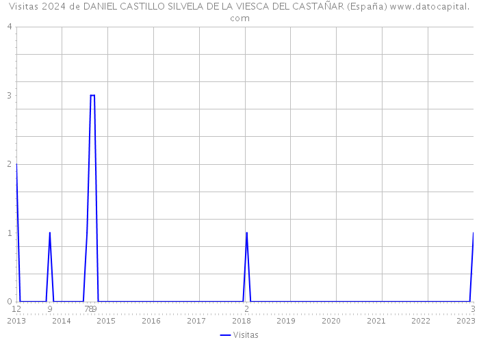 Visitas 2024 de DANIEL CASTILLO SILVELA DE LA VIESCA DEL CASTAÑAR (España) 