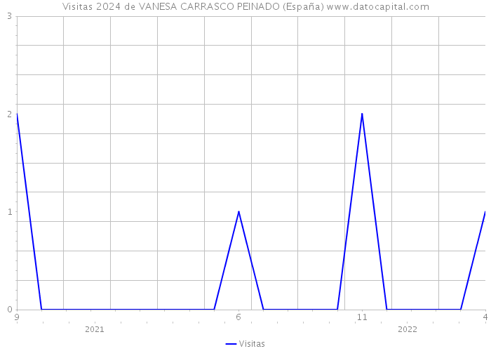 Visitas 2024 de VANESA CARRASCO PEINADO (España) 