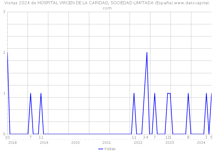 Visitas 2024 de HOSPITAL VIRGEN DE LA CARIDAD, SOCIEDAD LIMITADA (España) 