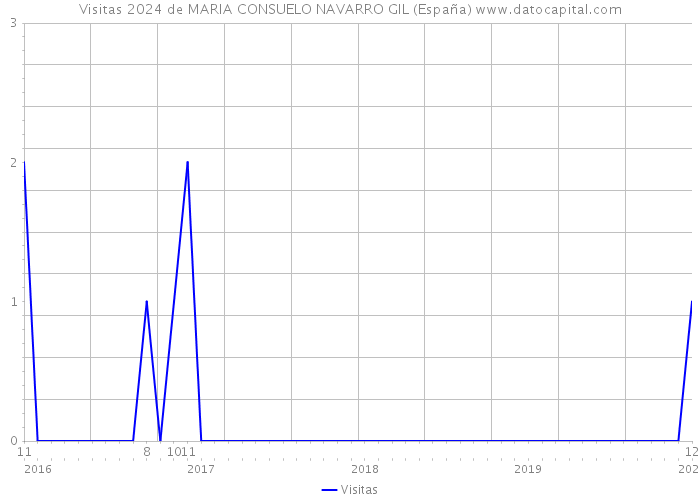Visitas 2024 de MARIA CONSUELO NAVARRO GIL (España) 