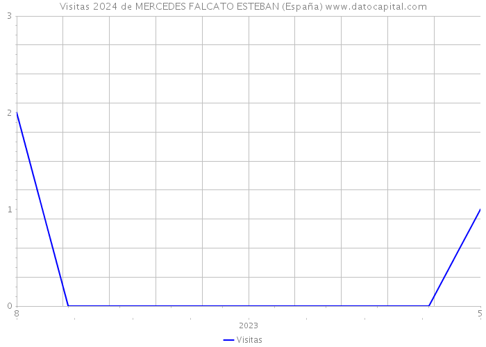 Visitas 2024 de MERCEDES FALCATO ESTEBAN (España) 