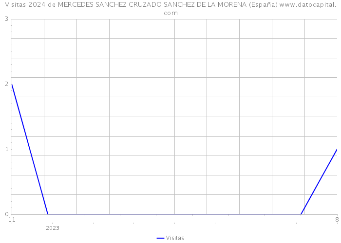 Visitas 2024 de MERCEDES SANCHEZ CRUZADO SANCHEZ DE LA MORENA (España) 