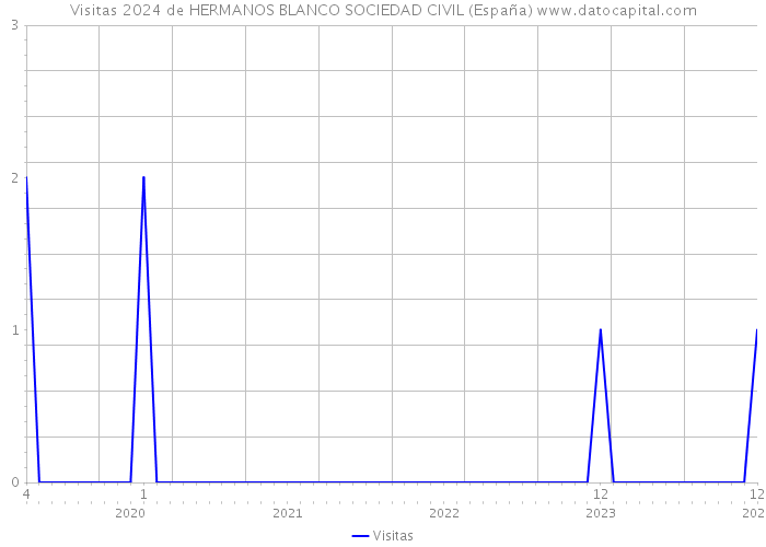 Visitas 2024 de HERMANOS BLANCO SOCIEDAD CIVIL (España) 