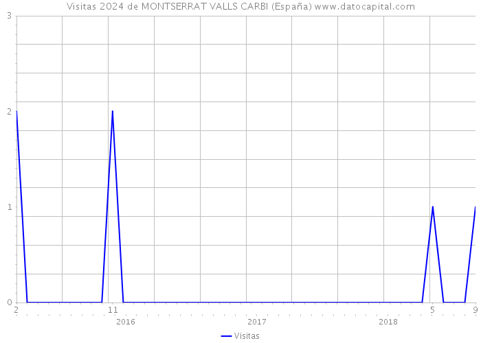 Visitas 2024 de MONTSERRAT VALLS CARBI (España) 
