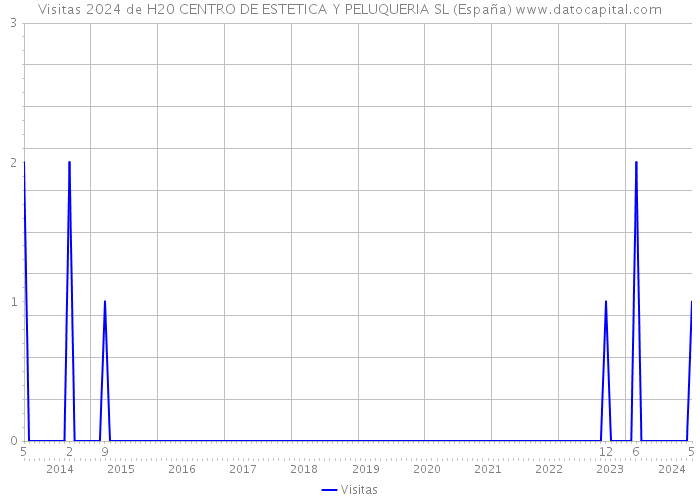 Visitas 2024 de H20 CENTRO DE ESTETICA Y PELUQUERIA SL (España) 