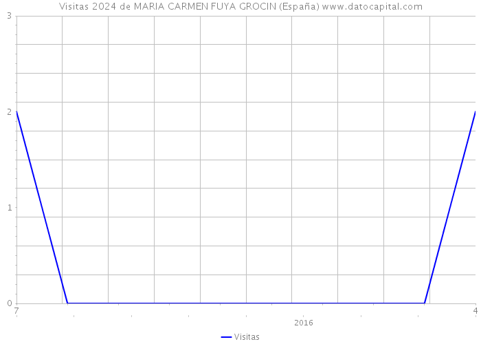 Visitas 2024 de MARIA CARMEN FUYA GROCIN (España) 