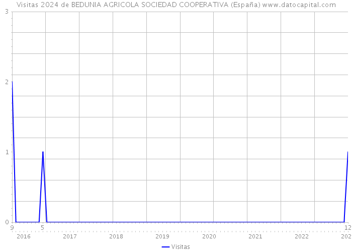 Visitas 2024 de BEDUNIA AGRICOLA SOCIEDAD COOPERATIVA (España) 